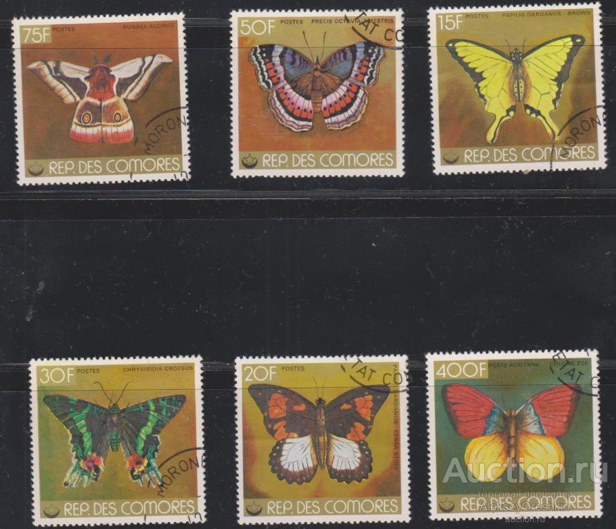 Коморские острова Бабочки