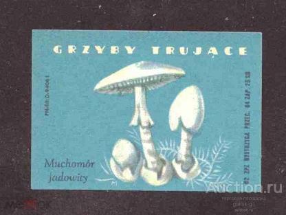 спичечные  этикетки   Польша   флора     №  2471