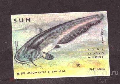 спичечные  этикетки   Польша    фауна    №  2483