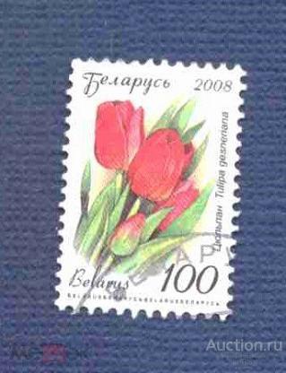 Беларусь     гашеная   2008  год   стандарт   флора    №  3583