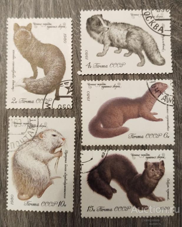 Марка СССР 1980 Фауна Ценные породы пушных зверей 