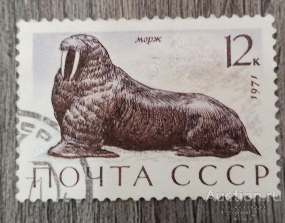 Марка СССР 1971 Фауна Млекопитающие моря