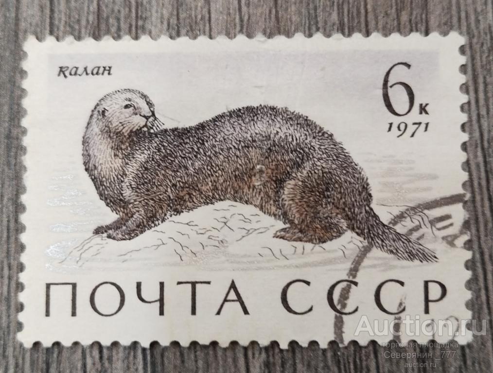 Марка СССР 1971 Фауна Млекопитающие моря