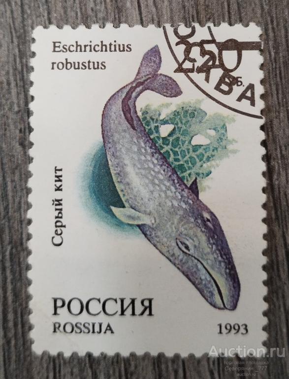 Марка Россия 1993 Фауна Мира