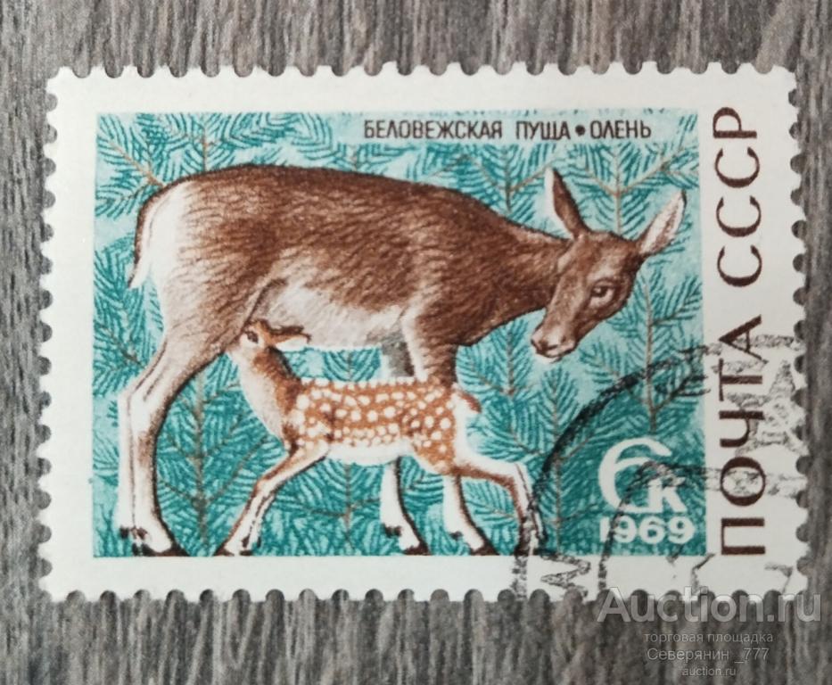 Марка СССР 1973 Фауна  Беловежская пуща
