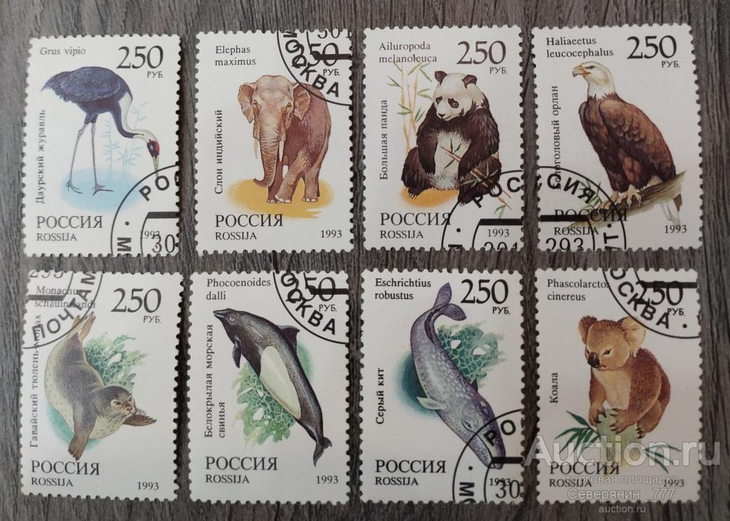 Марка Россия 1993 Фауна Мира