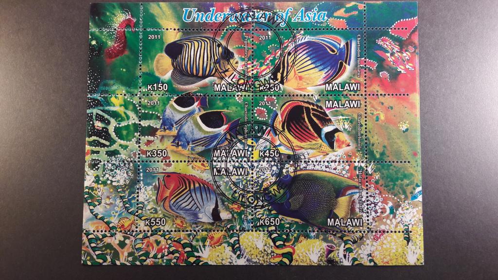 Малави Морская Фауна.Рыбы..2011 гаш К1