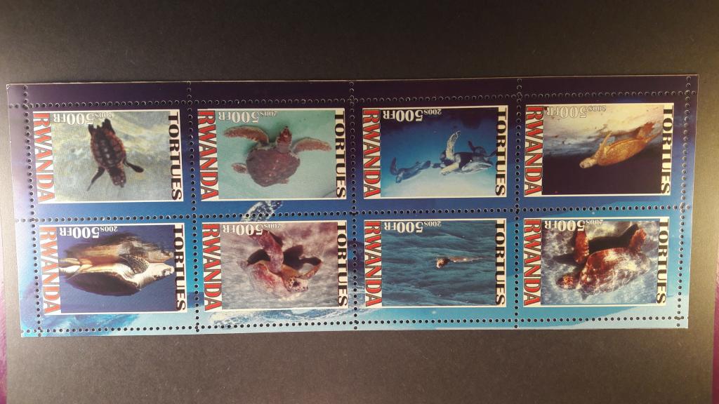 Руанда. Морская фауна.Черепахи. 2008 MNH  К2