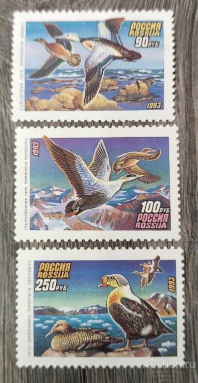 Марка Россия 1993 Фауна Утки**