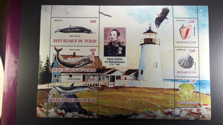 Республика Чад.Морская фауна Ракушки.Маяк.Личности 2011 MNH  К3