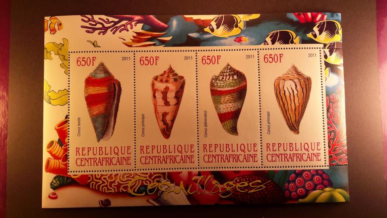 Центрально-Африканская Республика (ЦАР) Морская фауна.Ракушки..2011 MNH К5
