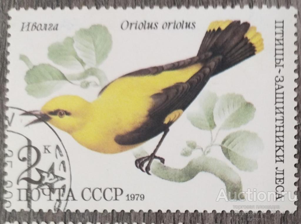 Марка СССР 1981 Фауна  птицы 