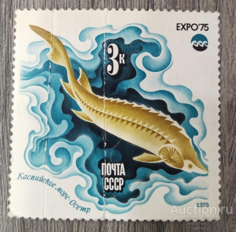Марка СССР 1975 Фауна Морские обитатели