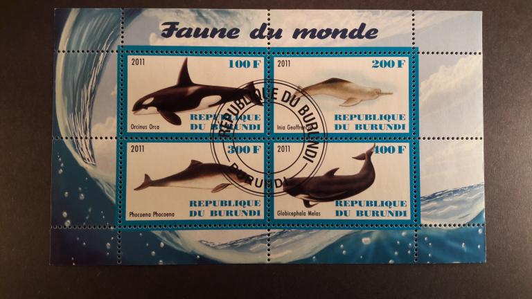 Республика Бурунди. Морская фауна. Дельфины. 2011 гаш К7