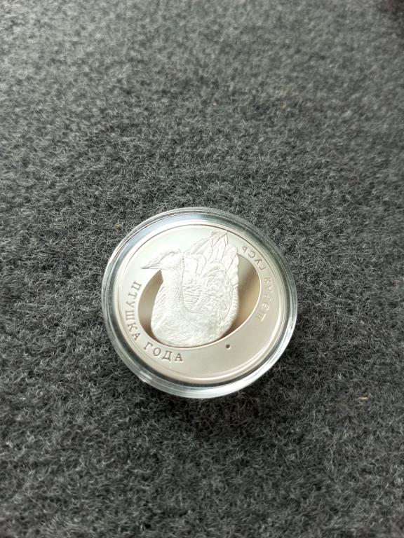 Беларусь 1 рубль, 2009 Птица года - Серый гусь Proof (bk-05)