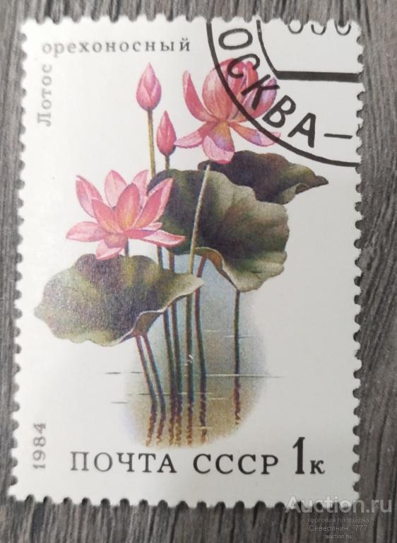 Марка СССР 1984 Флора Цветы 