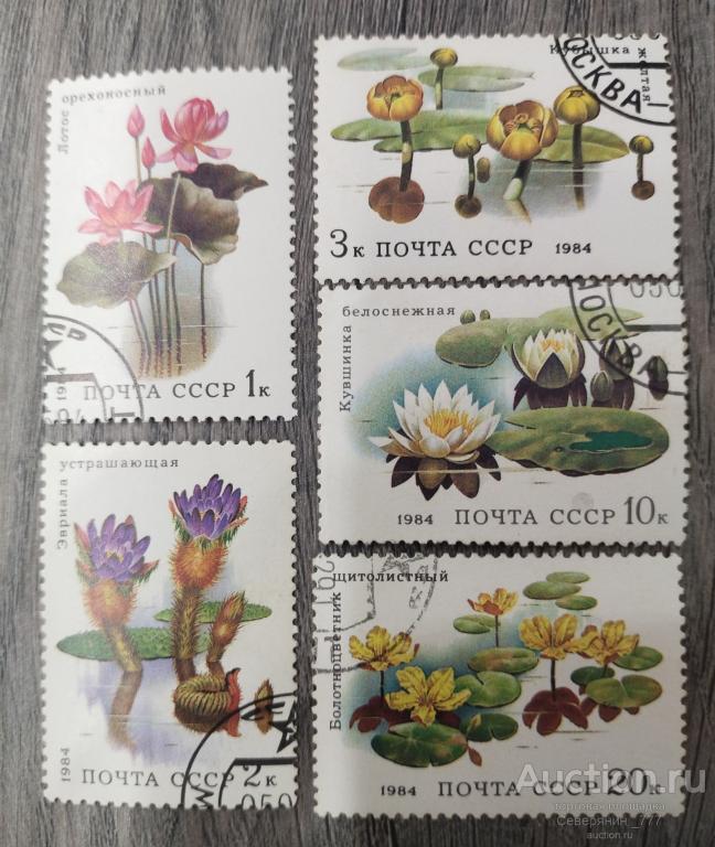 Марка СССР 1984 Флора Цветы 