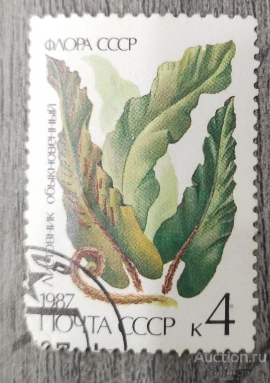 Марка СССР 1987 Флора Цветы 
