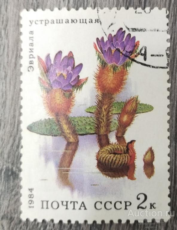 Марка СССР 1984 Флора Цветы 