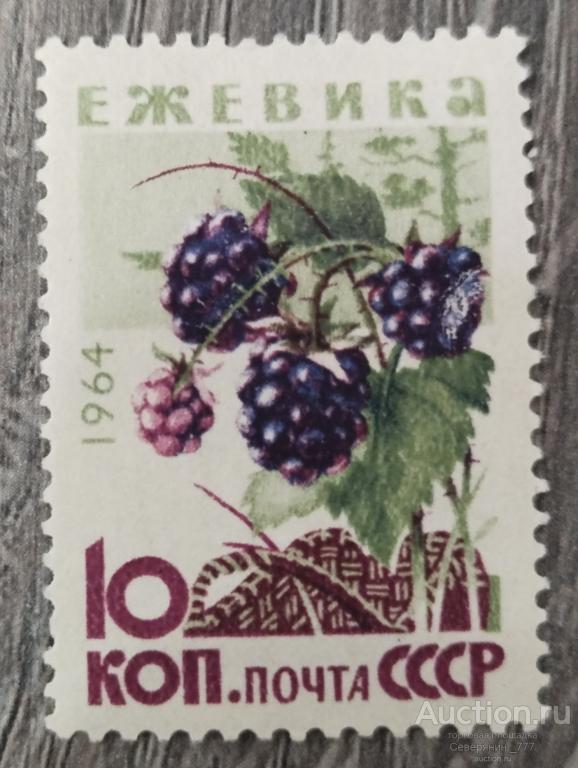 Марка СССР 1964 Флора Ягоды**