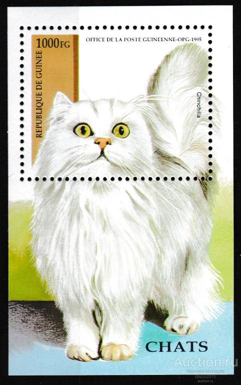 Гвинея 1995 Домашние кошки Кошачьи Фауна блок**  Мi: BL 492