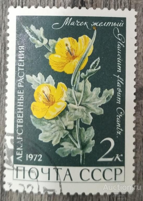 Марка СССР 1972 Флора 