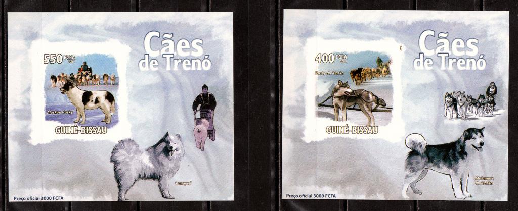Марки Гвинея-Бисау 2009 г. Собаки Серия 5 блоков MNH ** Фауна