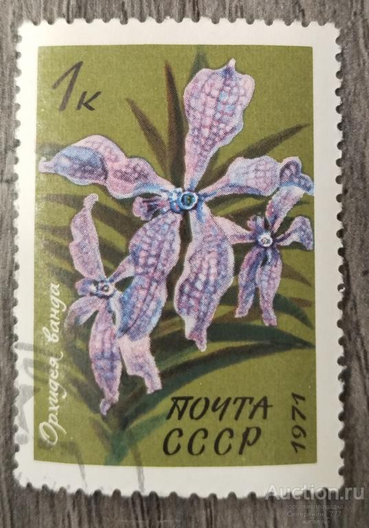 Марка СССР 1971 Флора Цветы 