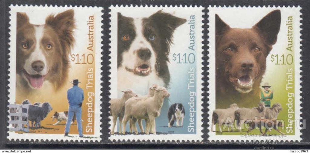 Австралия 2022 Собаки-пастухи Овцы Фауна 3м**