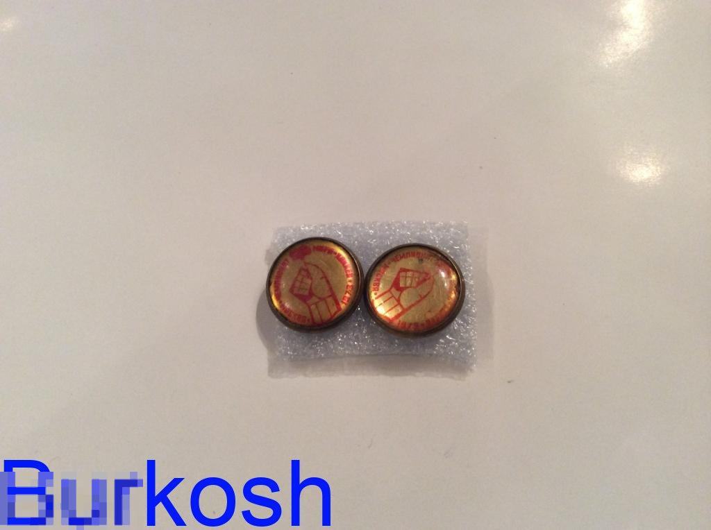 ЗНАЧОК СССР СПОРТ чемпионы мира хоккей 1973 Москва 