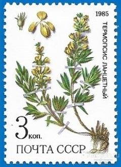 1985 СССР 5650 (Z 5581) Ланцентный термопсис. Лекарственные растения (1/5)** MNHOG (ЧБН)