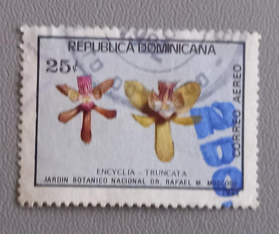 Доминиканская Республика 1981 год  Флора Цветы Орхидеи Энциклия усеченная Гаш
