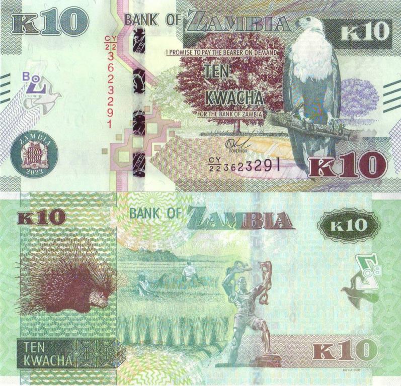 Замбия 10 квача 2022 P58d пресс unc