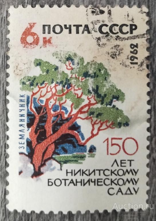 Почтовая марка СССР 1962  Флора Ботанический сад 