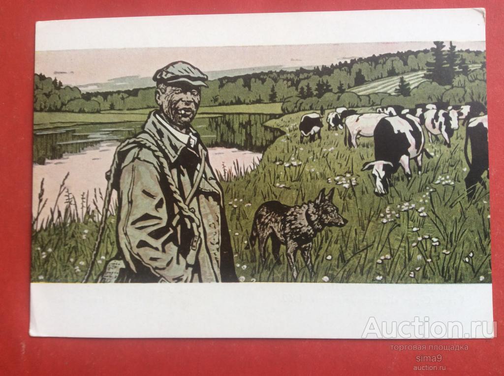 Открытка Аверьянов Стадо серия «Колхозные будни» 1961 год чистая соцреализм редкая