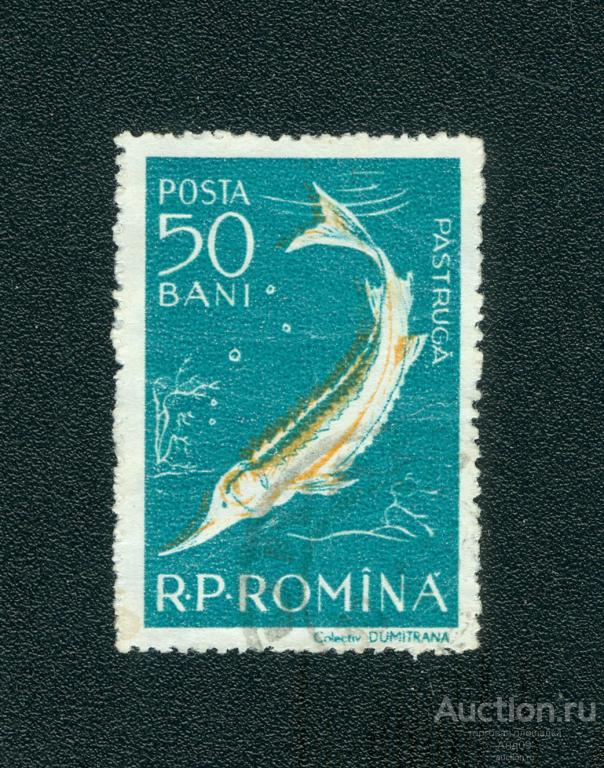 1957 г. Румыния – Звездчатый осетр (1002е)