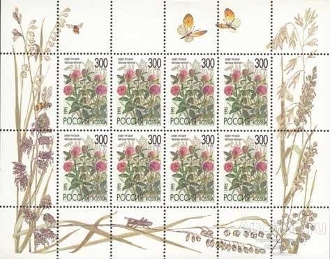 Россия 1995 мл клевер луговой Mi#437kb MNH