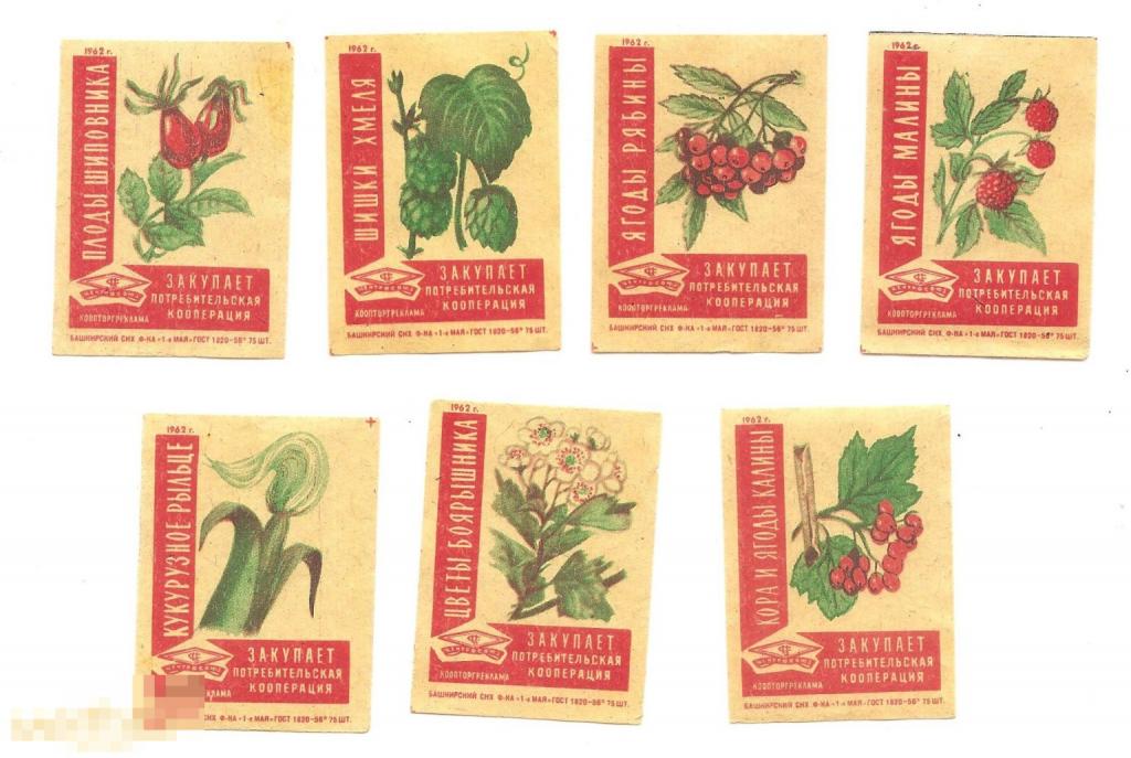 Закупает потребительская кооперация. 1 Мая. 1962 (2221) 7 шт. 