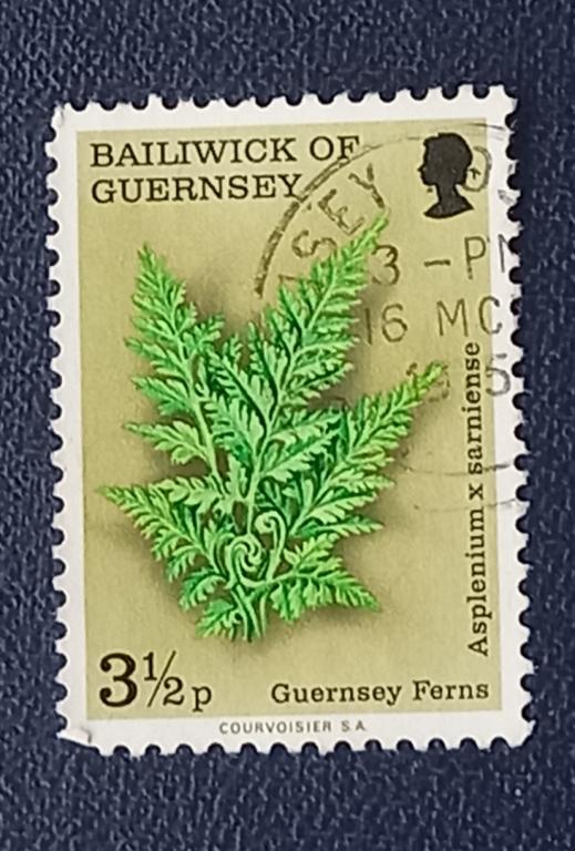 Гернси 1975 год Флора Гернси Спленворт  Гаш 2
