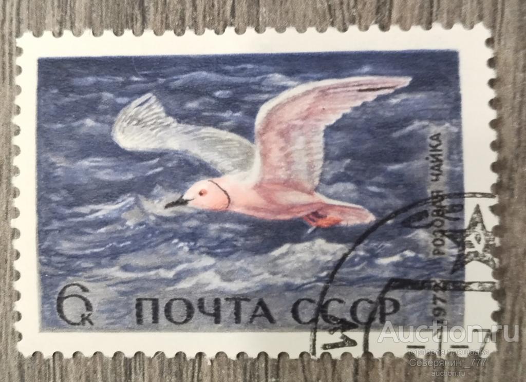 Марка СССР 1972 Фауна  Водоплавающие птицы 