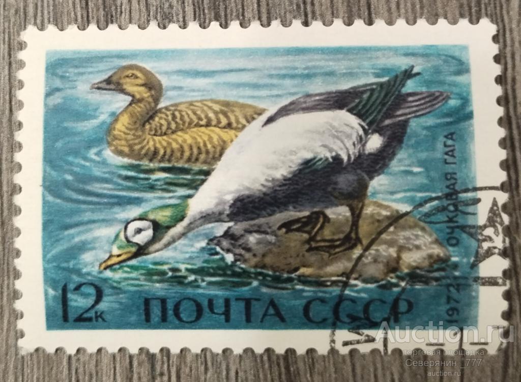 Марка СССР 1972 Фауна  Водоплавающие птицы 
