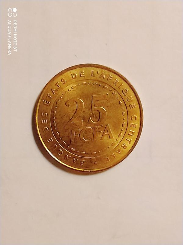 Центральная Африка. 25 франков. 2006 год.