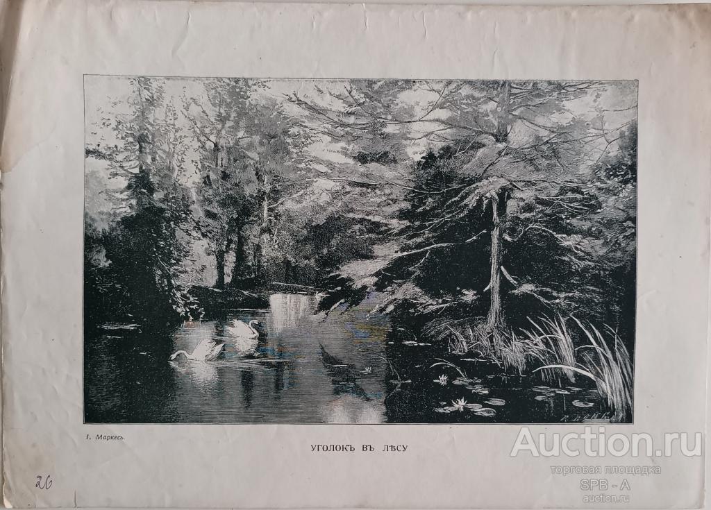 "Уголок в лесу" ксилография Francisco Domingo Marqués 1900-е годы