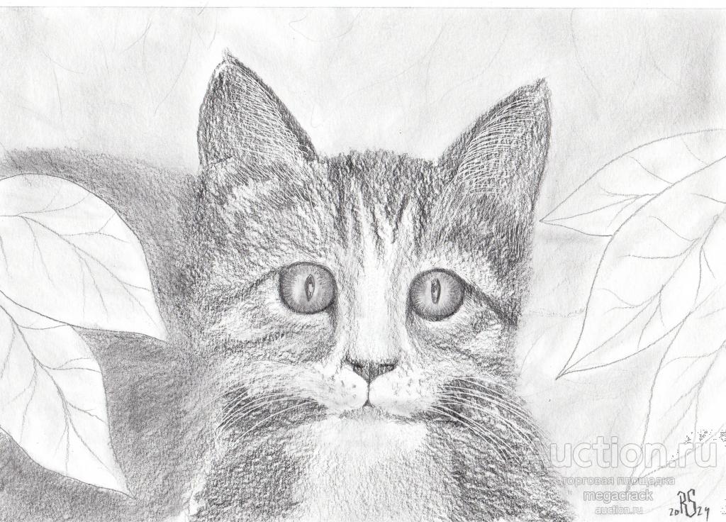 КАРТИНА. ГРАФИКА. "ГОЛУБЬ, Я ТЕБЯ НЕ БОЮСЬ!", КОТИК, КОТ, КОШКА. 2024 Г. ХУД.