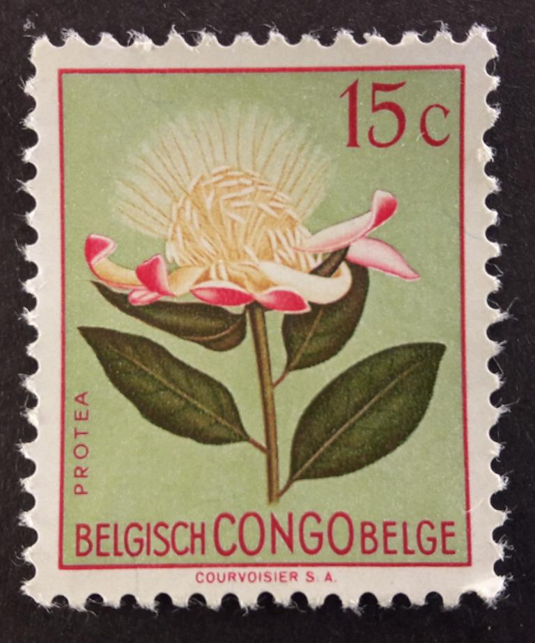 Бельгийское конго Флора 1952 без клея 56