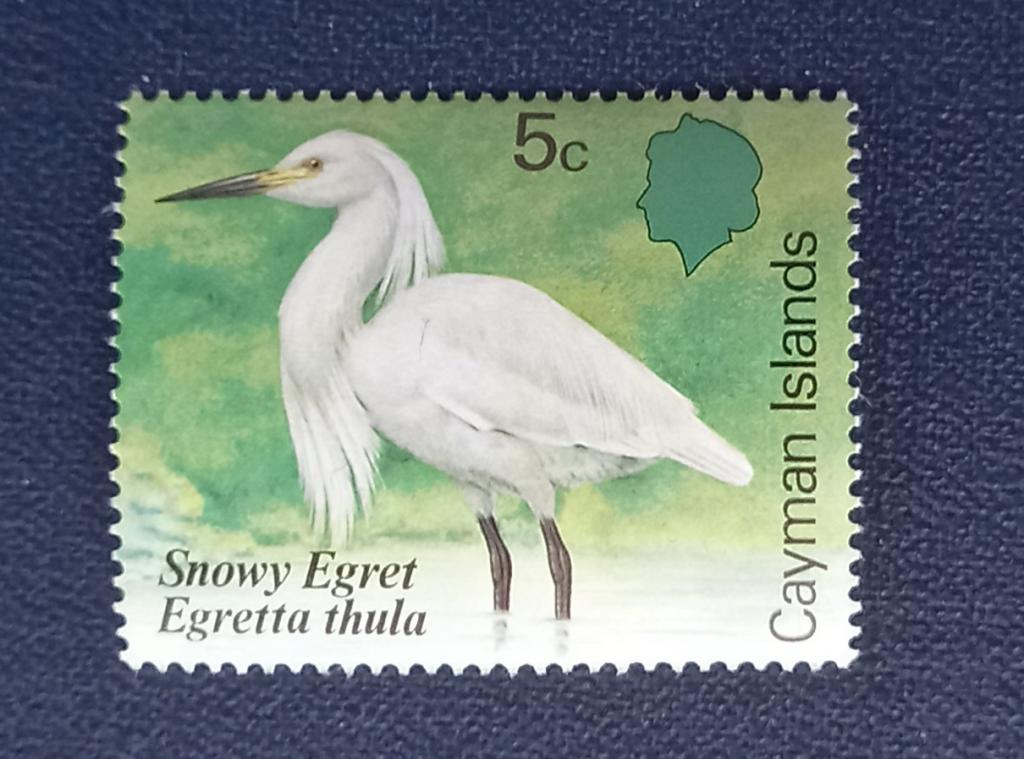Каймановы острова 1984 год Фауна Птицы  Снежная цапля MNH