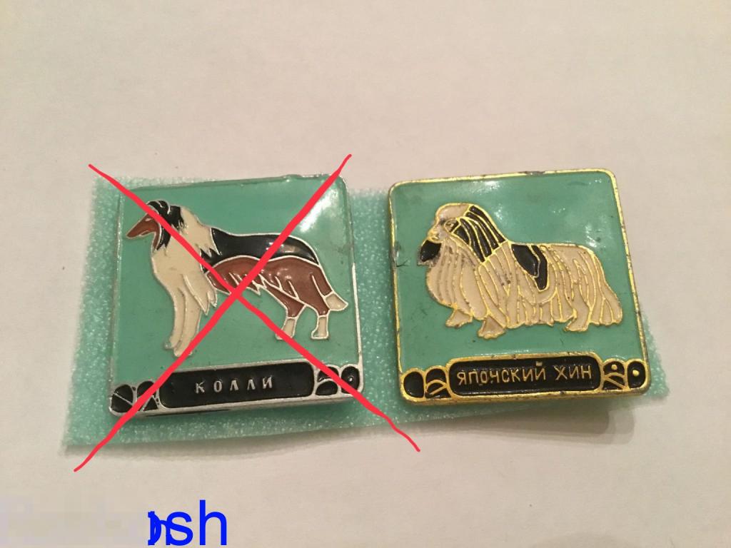 ЗНАЧОК СССР ЯПОНСКИЙ ХИН собака 
