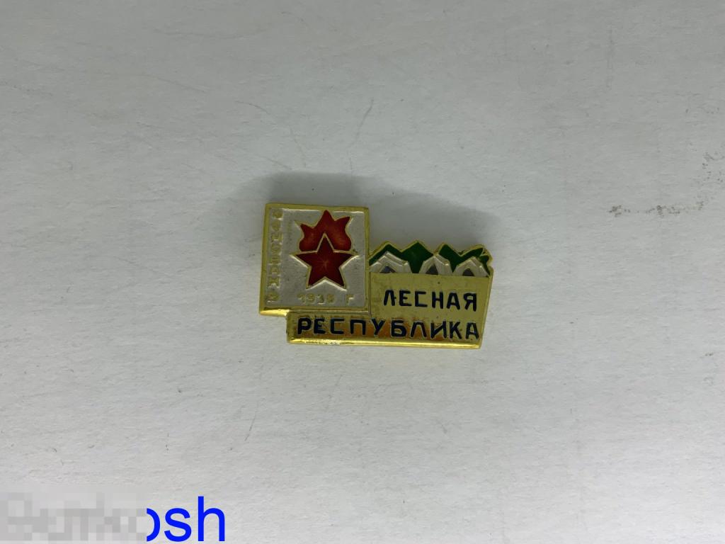ЗНАЧОК СССР ЛЕСНАЯ РЕСПУБЛИКА пионерский лагерь основан в 1936 