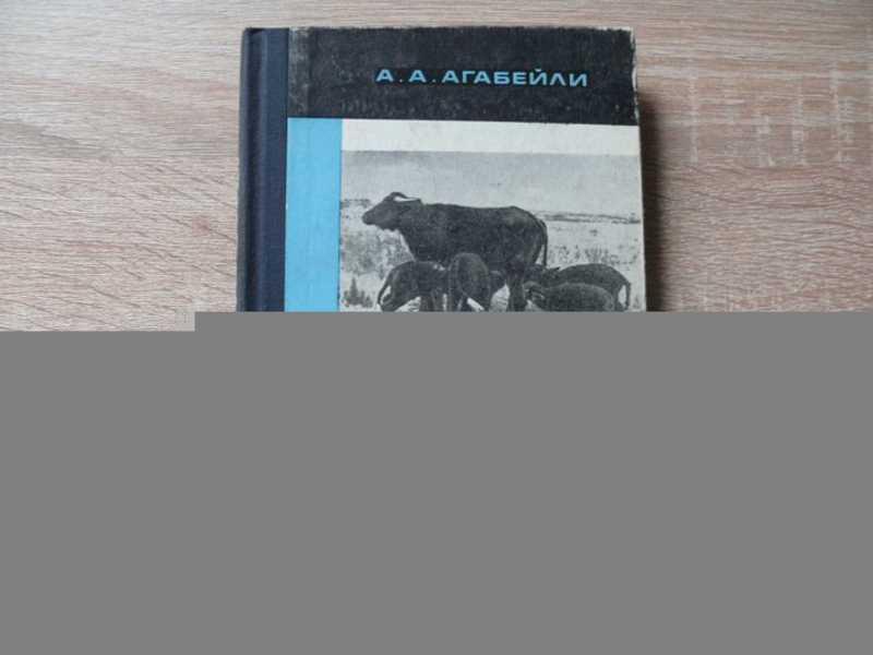 #1660971 Агабейли А. А. Буйволы