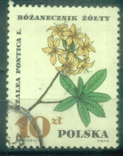 Польша 1967 Mi# 1775 Цветы гаш